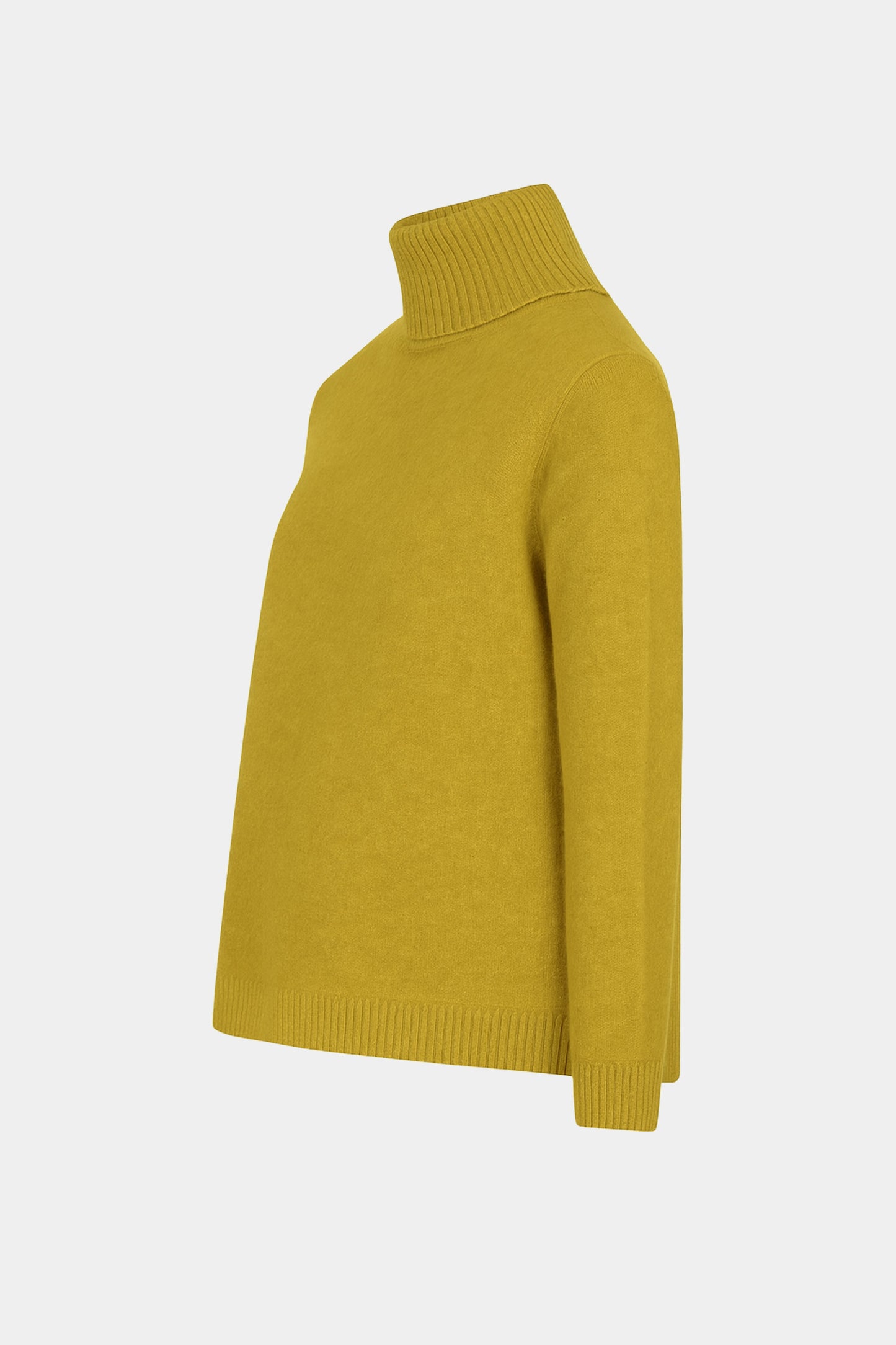 Roll Neck Plain Jumper