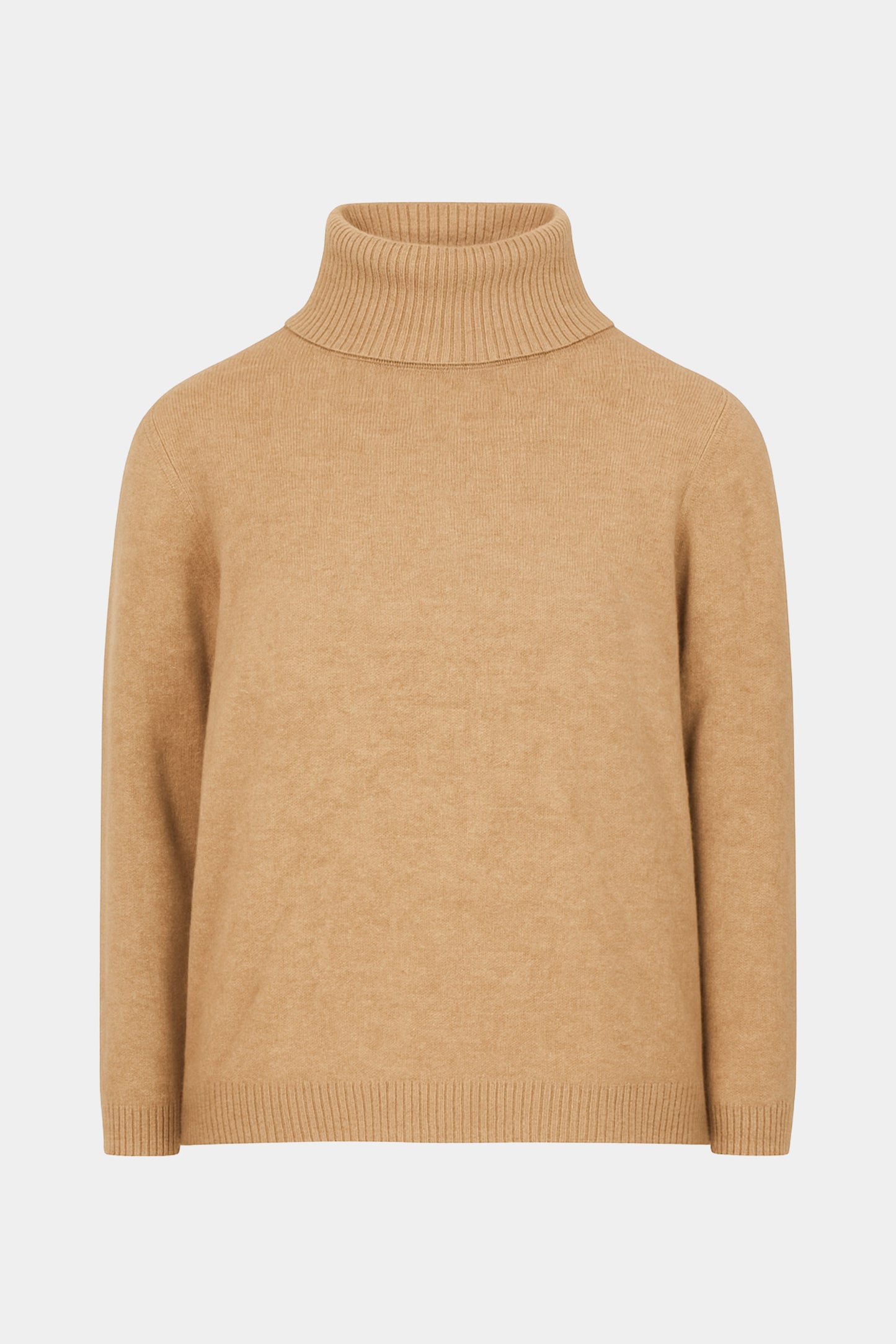 Roll Neck Plain Jumper