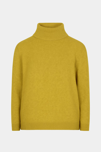 Roll Neck Plain Jumper