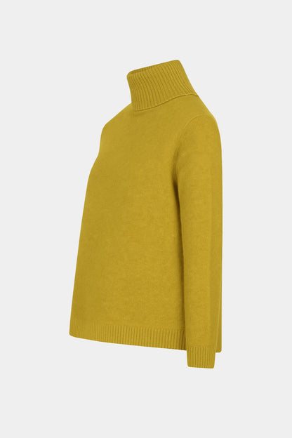 Roll Neck Plain Jumper