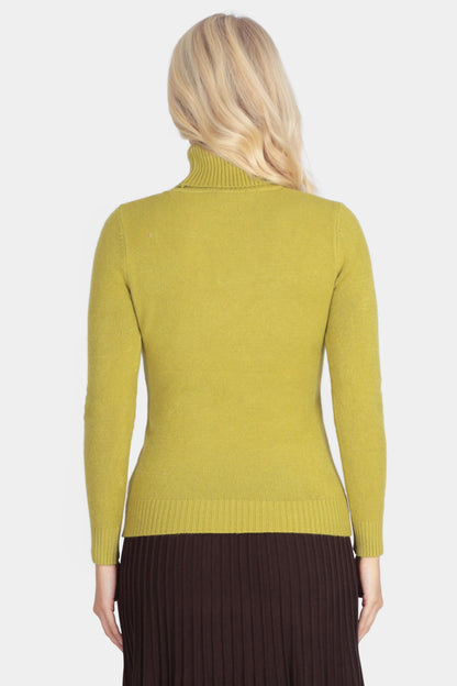 Roll Neck Plain Jumper