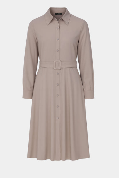 Collared Button Front Midi Dress